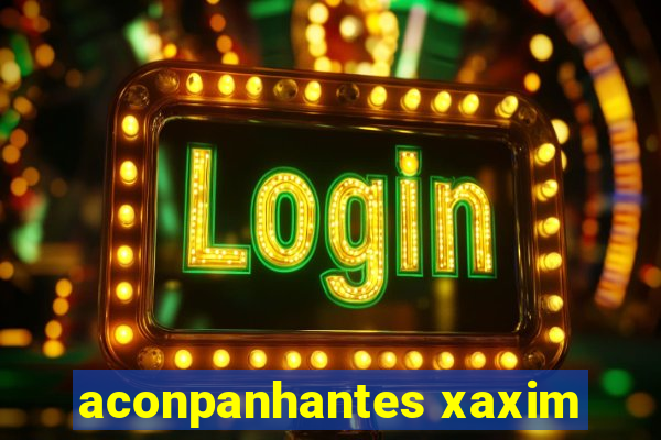 aconpanhantes xaxim